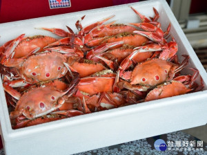 備受廣大愛蟹饕客的野柳假日活蟹市集回來了！漁業處指今年假日市集將於9月18日上午9時正式開始，將於野柳漁港藍色公路候船亭下舉辦「野柳假日活蟹市集」