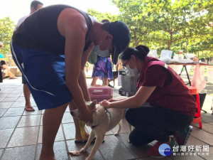 動保處為提高狂犬病疫苗注射率，28日於土城綜合體育場寵物公園辦理疫苗注射快閃活動