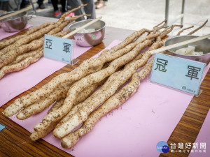 平溪區山藥品質評鑑昨(1)日於平溪區市民活動中心前廣場進行評選