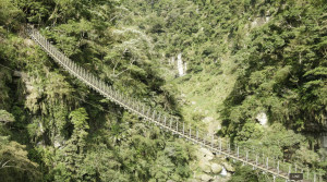 享譽全台的「南投天梯」也是俗稱的梯子吊橋
