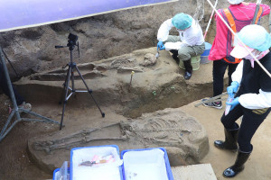 鐵路高架通過疑似台斗坑遺址，嘉義市府說明全案進度／陳致愷翻攝