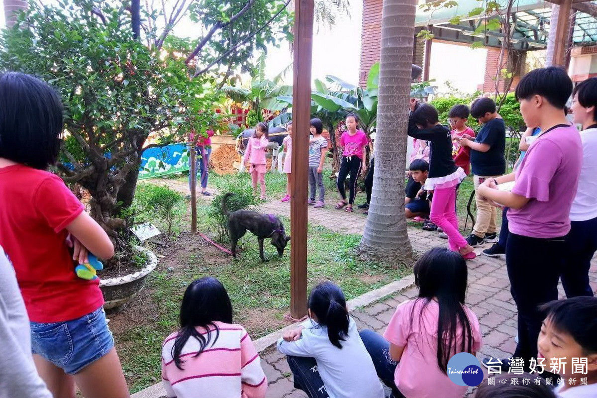 鼓勵學校認養流浪動物　桃市動保處舉辦校園犬觀摩交流 台灣好新聞 第2張