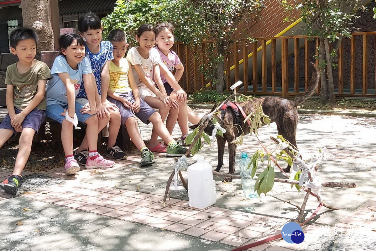 鼓勵學校認養流浪動物　桃市動保處舉辦校園犬觀摩交流 台灣好新聞 第3張