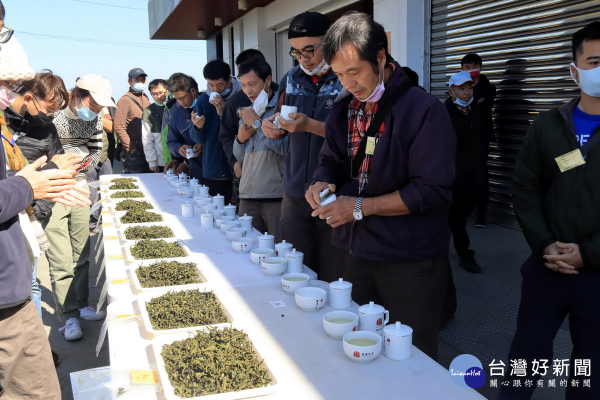 與賽選手品嚐獲獎茶。（記者扶小萍攝）