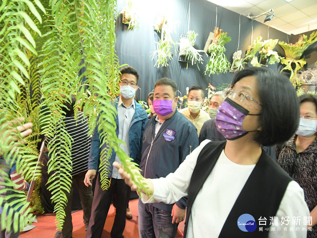 看見彰化田尾之美植物產地市集　跳脫過去結合花卉種植與觀光旅遊