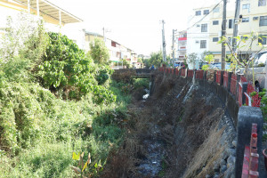 雲林斗六市國光街護岸因年久失修恐有安全疑慮，且雜草叢生蚊蟲擾民狀況/李光揚翻攝