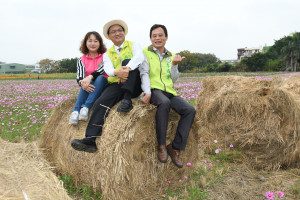 「彰化300花樂me」五彩繽紛花海，粉嫩登場 ！