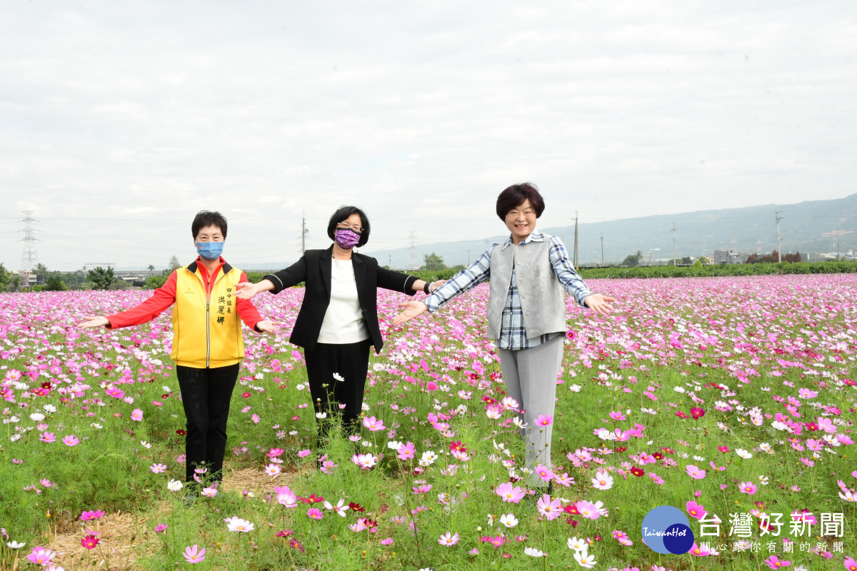 縣長王惠美、田中鎮長洪麗娜等人歡迎大家賞花海。圖／記者鄧富珍攝