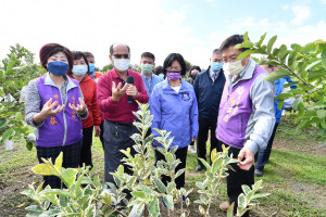 縣長王惠美關心農民，訪視彰化菁芩休閒農場。