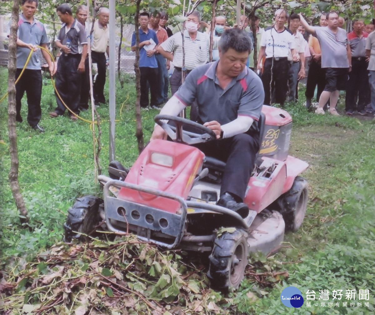 廢棄葡萄藤枝條處理範觀摩。圖／記者鄧富珍翻拍