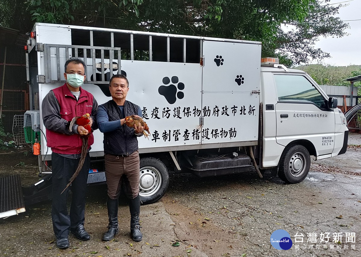 三芝動物之家協助媒合至具有飼養經驗的謝煥祥畜牧場，提供足夠寬廣的飼養空間安置