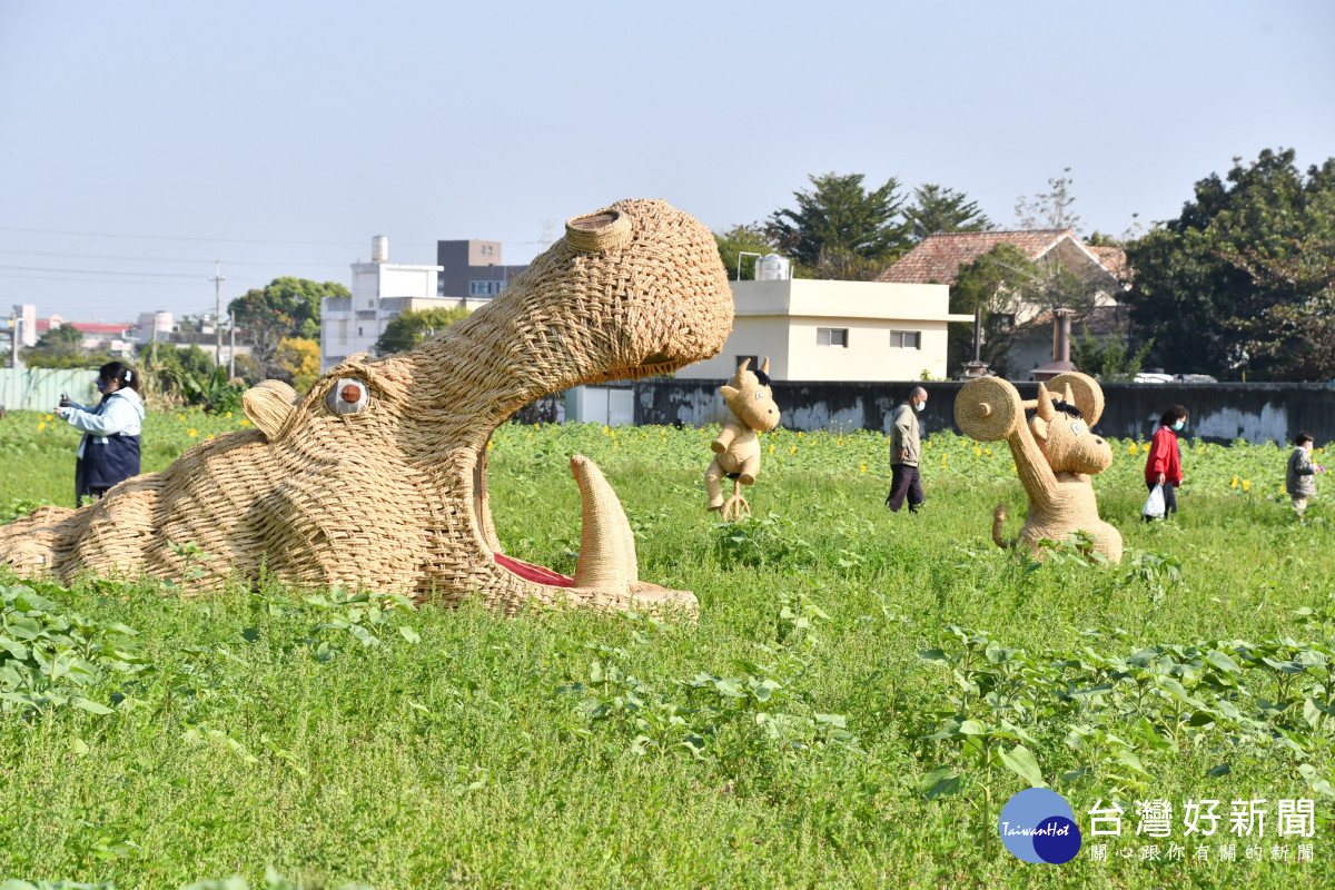 花壇「焢吧焢焢，花壇趴兔焢」活動，一片花海。。圖／記者鄧富珍攝