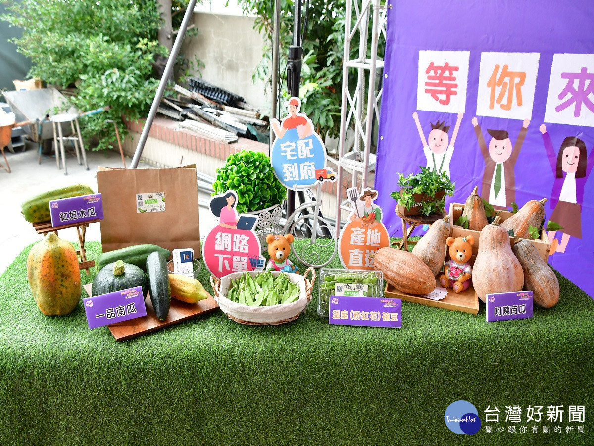 推展豌豆無毒種植　彰化青農獲頒30萬創業金