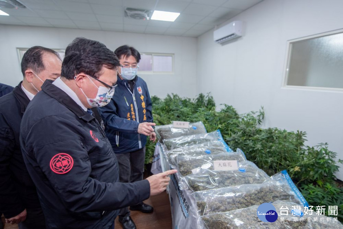 市長視察查獲之大麻植栽及乾燥成品<br />
<br />
