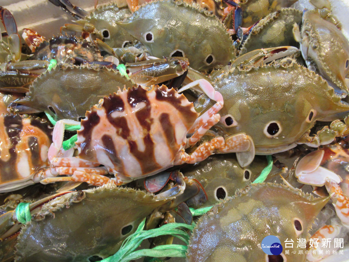 海鮮類中的深海魚、蝦、貝類，隱藏微量重金屬元素。圖／彰化秀傳提供