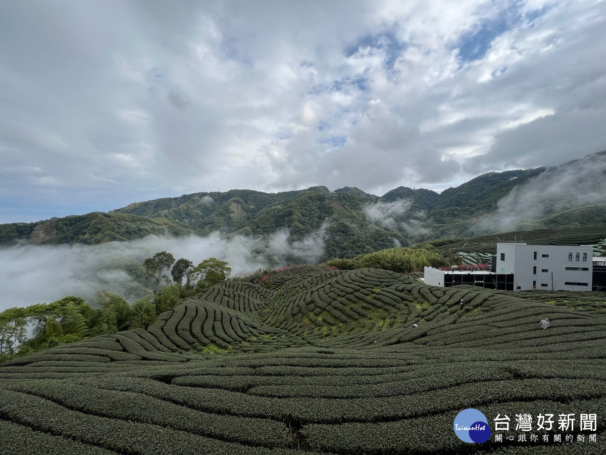 唯有山區可見如此美景。（竹山公所提供）