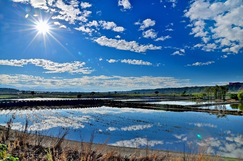 外埔-忘憂谷（圖／台中市政府提供）