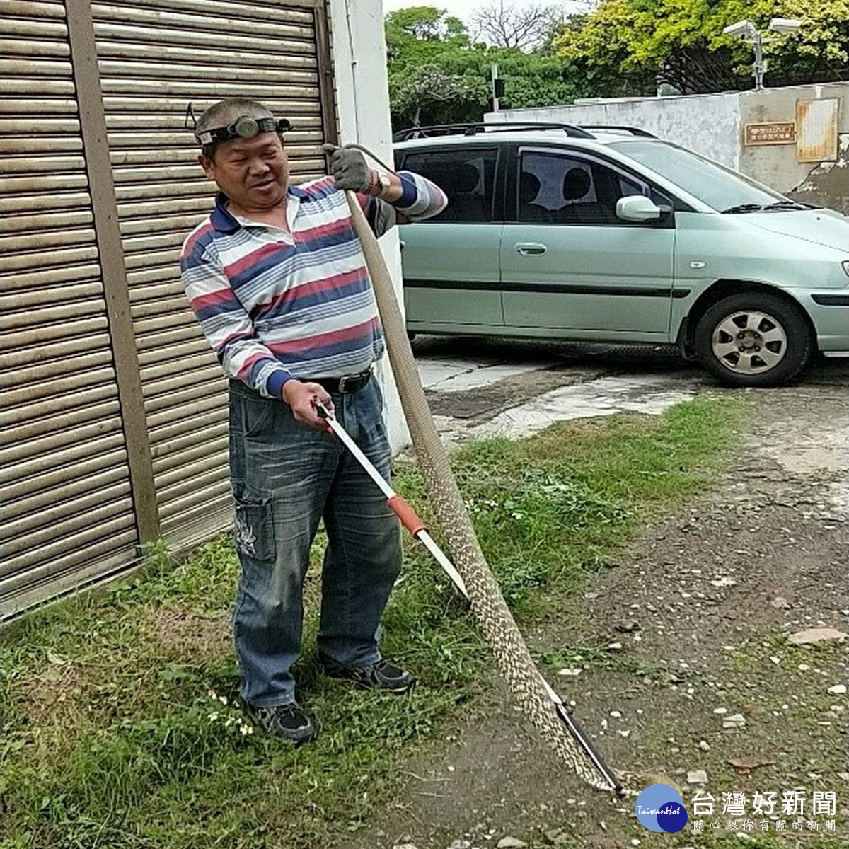 桃園市捕蜂捉蛇大隊成立滿6年，為民服務全年無休創下服務5萬件紀錄。