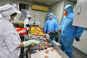 縣長王惠美參訪佳縈畜牧場，瞭解雞蛋產業。圖／彰化縣政府提供