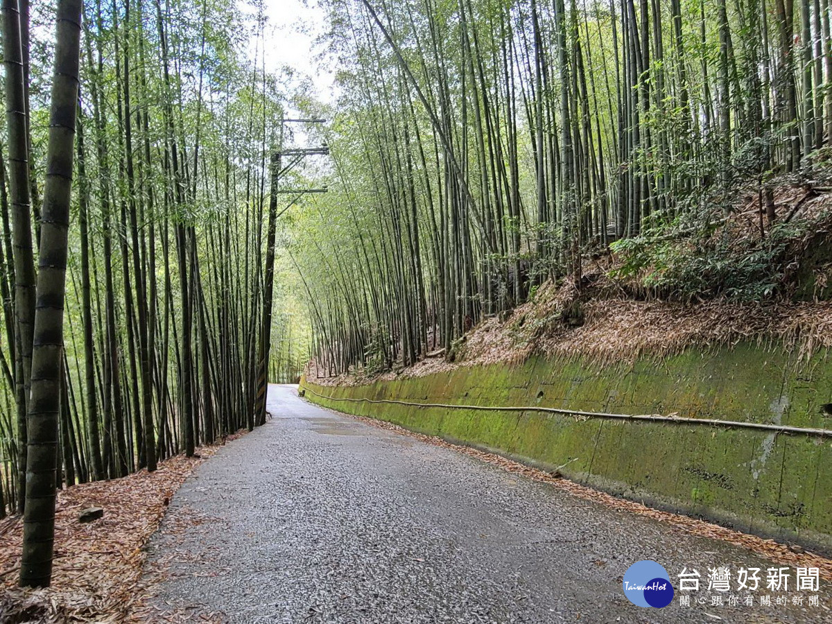 不論晴雨走在此秘境身心都輕鬆。（竹山公所提供）