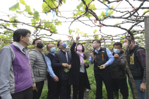 彰化縣長王惠美關心寒害農損，建請中央啟動寒害災損補助幫農民度過難關。圖／彰化縣政府提供