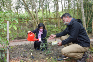 花樹營行原生樹種復育，彰化縣長王惠美以實際行動種下具代表性的原生樹種刺葉桂櫻，希望藉此呼籲大家一起關心原生樹種的復育。圖／彰化縣政府提供