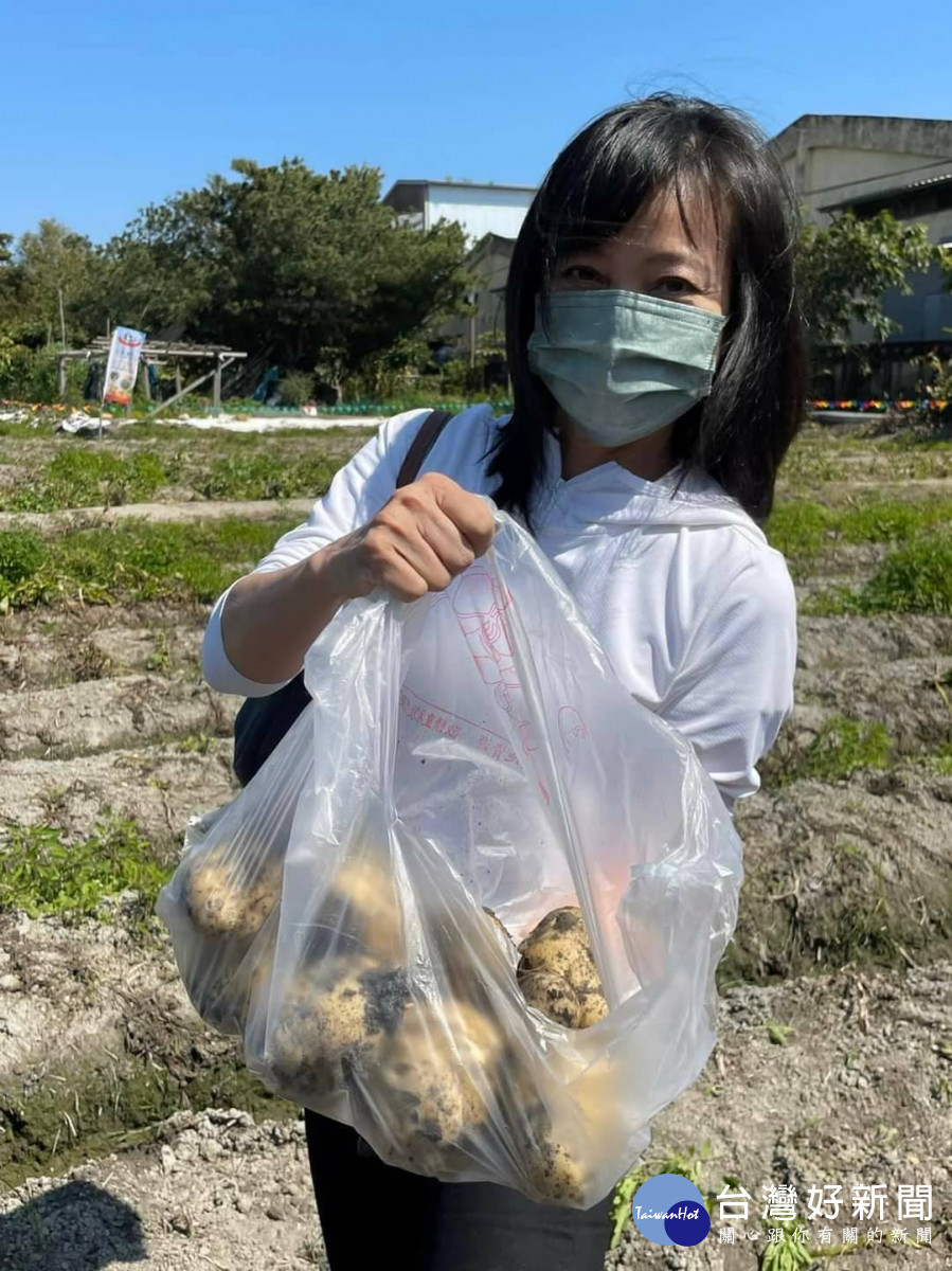 市民展示挖馬鈴薯的戰果