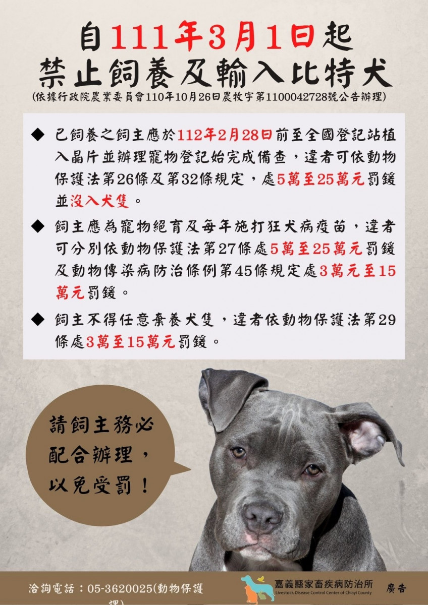 中央公告111年3月1日起禁止飼養及輸入比特犬／嘉義縣府提供