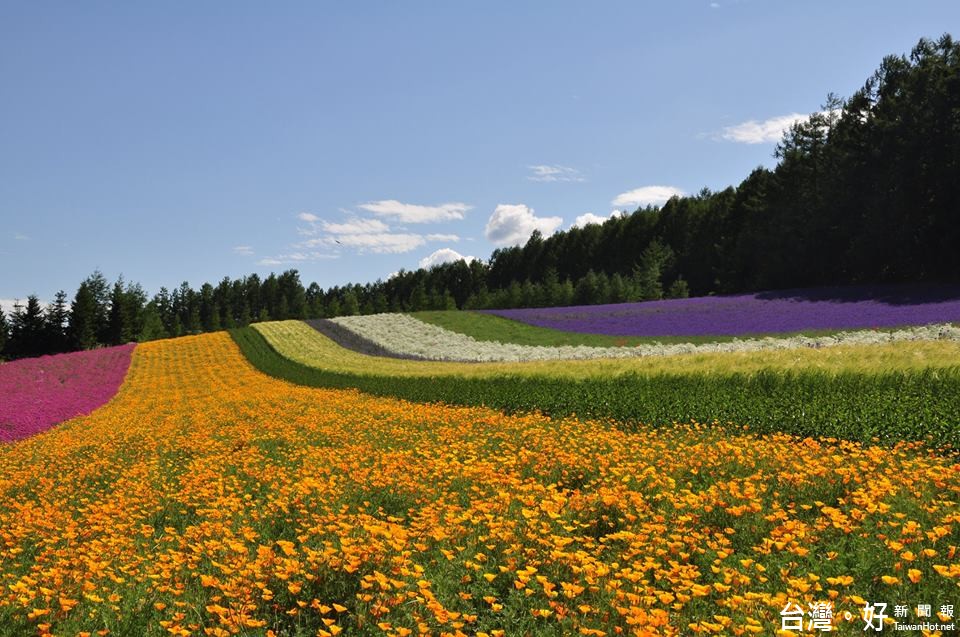 彩虹假期旅行社 彩虹之旅国际旅行社