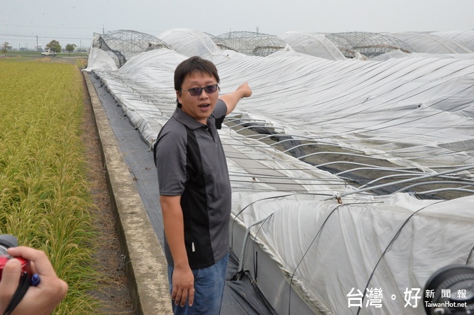 有機專班結業的青農黃浚宏指著嚴重受損的溫網室，一場颱風心血全白費了。(記者蘇榮泉攝)