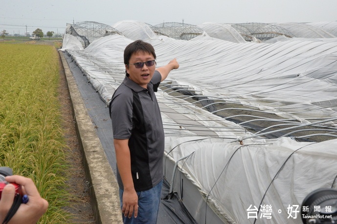 有機專班結業的青農黃浚宏指著嚴重受損的溫網室,一場颱風心血全白費了。(記者蘇榮泉攝)