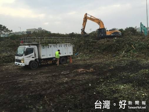 針對被風吹倒的枯枝斷木,中市環保局預留臨時堆置空間。