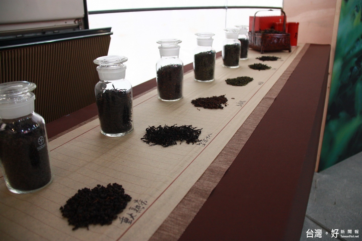 紅茶館內展示不同品種茶品供大家認識茶。（記者扶小萍攝）