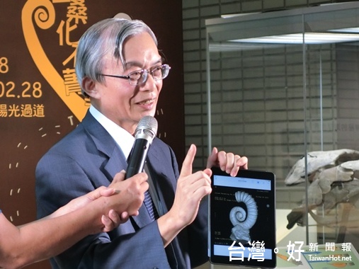 中國醫藥大學健康照護學院院長沈戊忠透過X光可以清楚看到螺類化石的氣室。(記者賴淑禎攝)