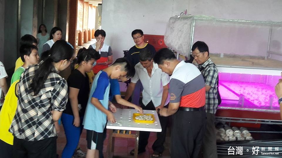 和興國小王姿勻校長帶領小朋友播種菜苗,23天後就可收成,食安食農教育,用於營養午餐。