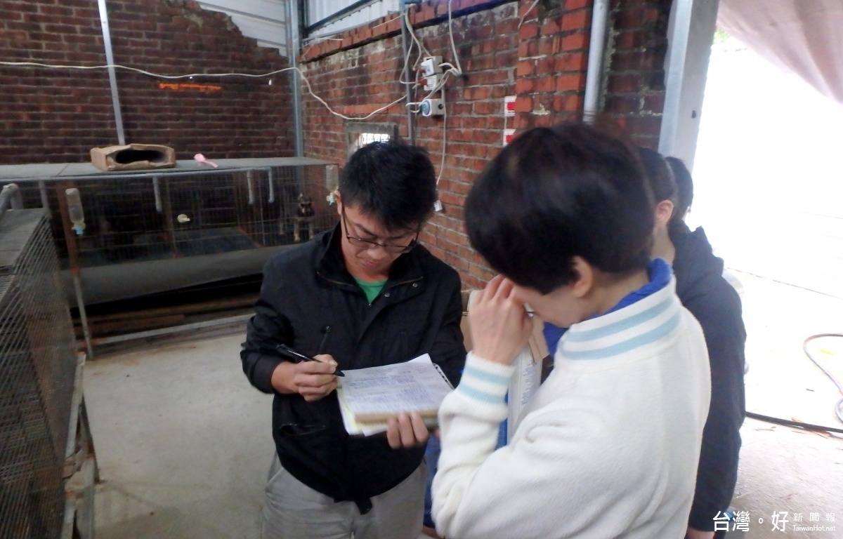 飼主表示,鄉下舊屋當作老狗終養場所,並提供運動場地,希望妥善照顧老狗。