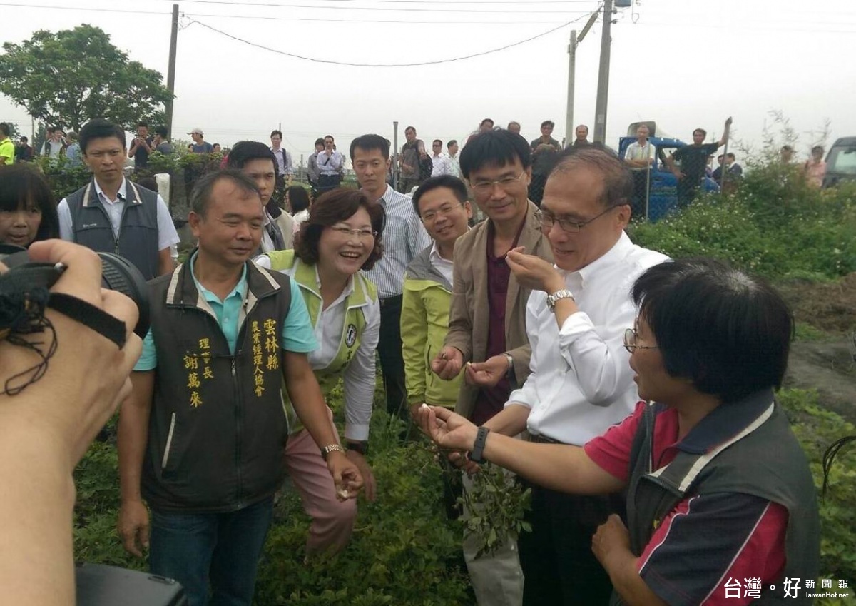 林全院長在農業經理人協會的熱情邀約下，捲起袖子下田體驗農活，並親自採收花生，大力讚賞有機花生的出色品質。（記者蘇榮泉攝）