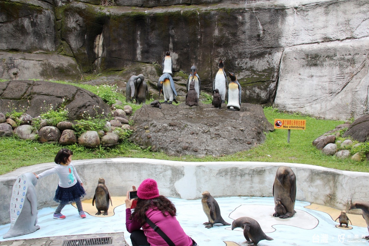 讓民眾更好「拍」　台北動物園設置動物雕塑