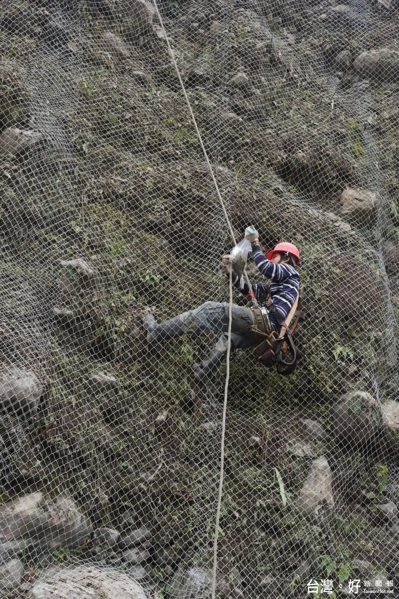 工程人員利用繩索攀越陡壁，冒險協助採集。（特生中心提供）