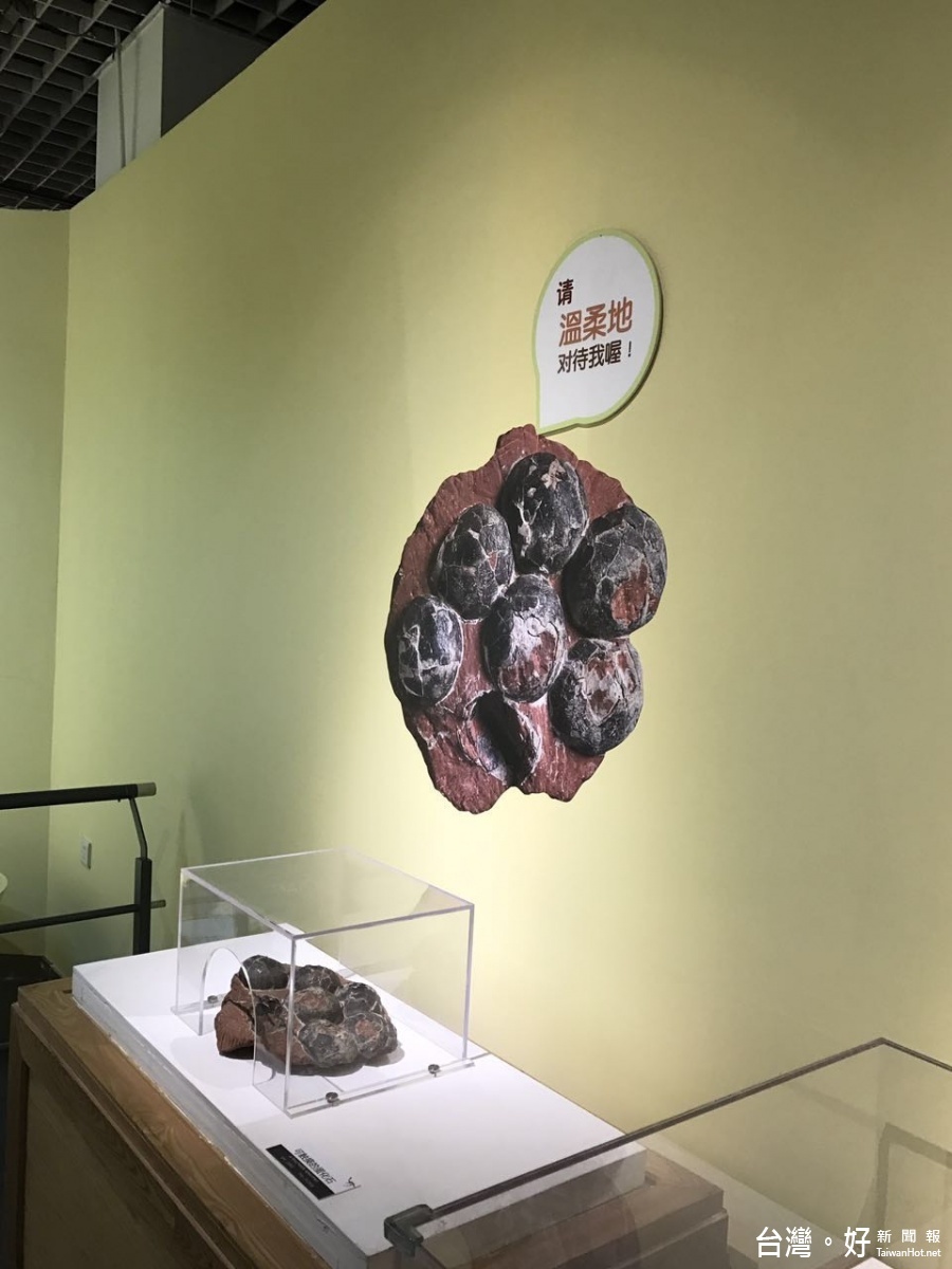 透過趣味生動的說明,讓參觀的民眾對於這些展出的恐龍蛋化石及模型。