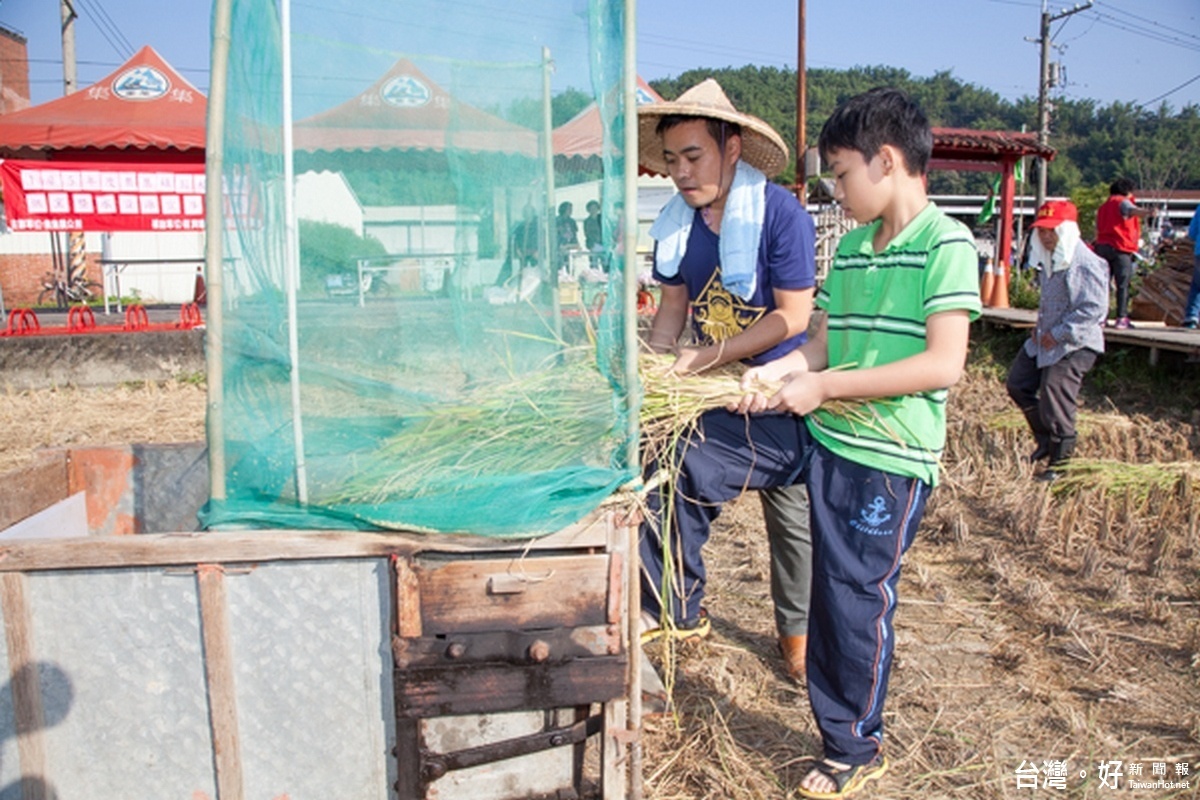 和平社區快樂田園割稻體驗-陳鎮長〈左〉和小朋友一起用脫穀機甩穀。