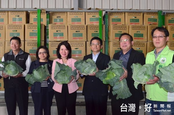 搶救高麗菜價　雲林外銷韓國30公噸