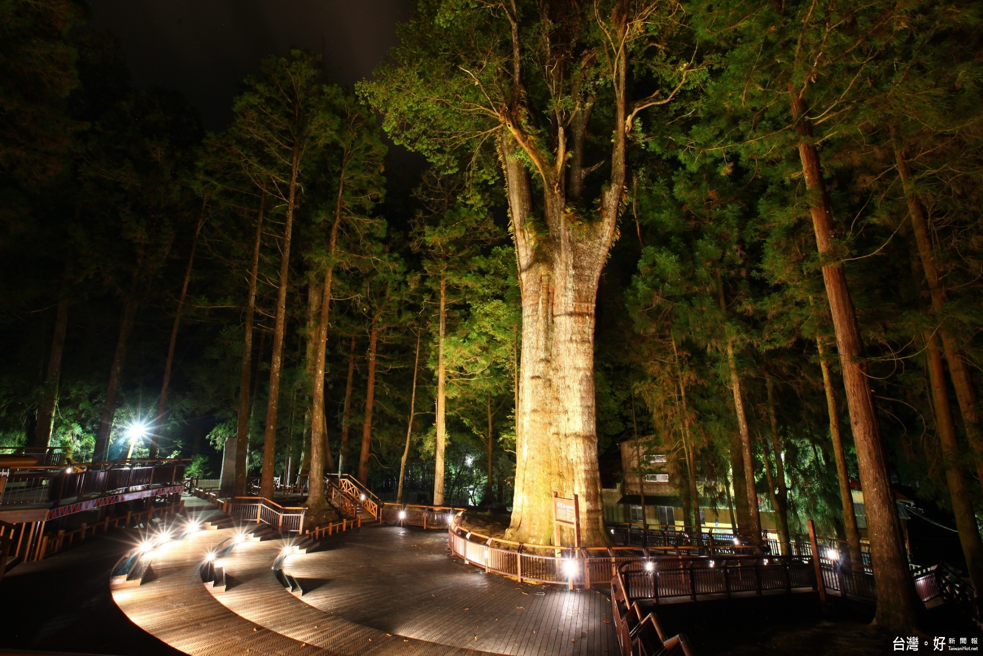 阿里山神木區新亮點多功能舞台獲優良建設工程獎 風傳媒