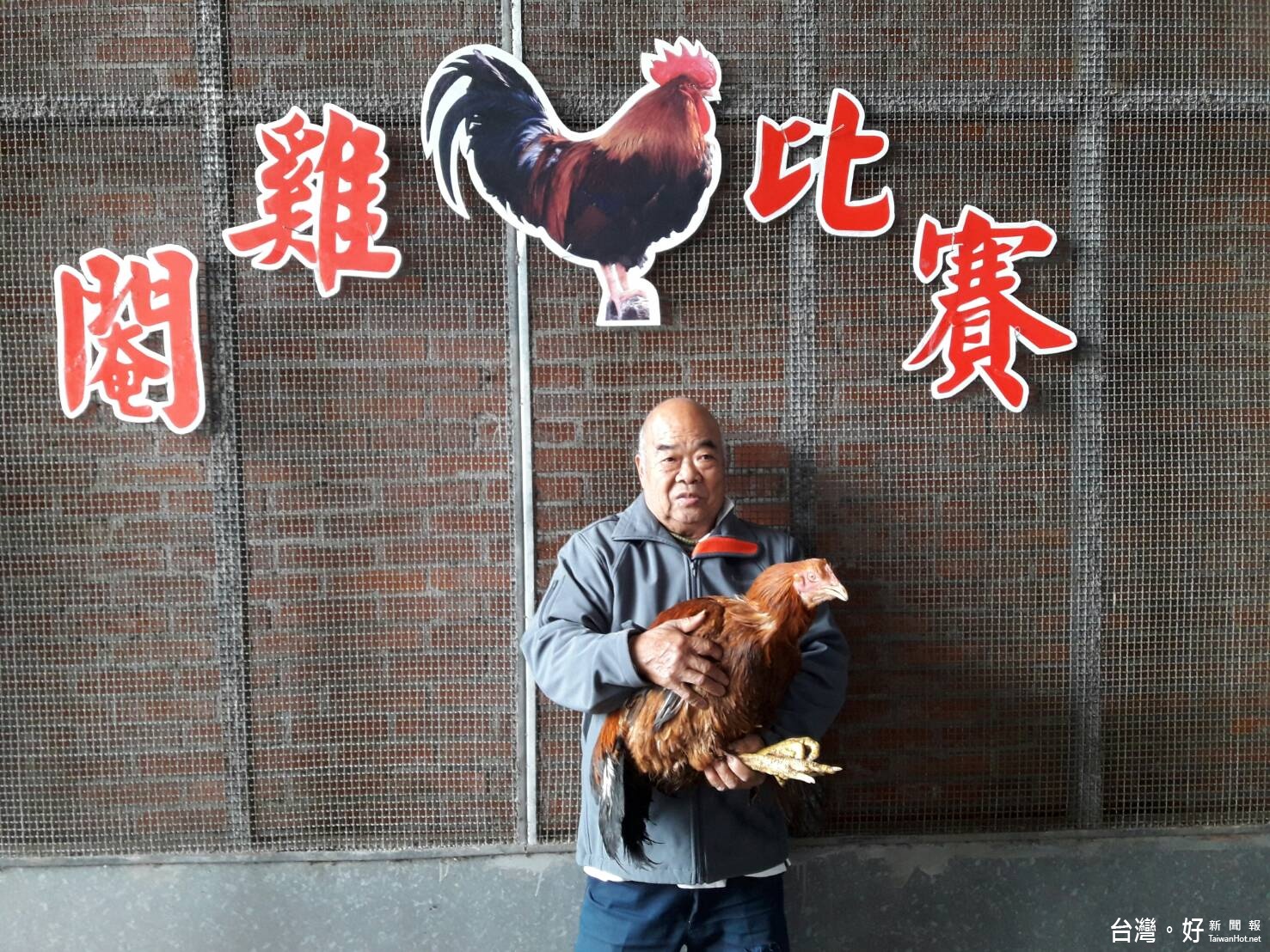 大溪大閹雞比賽　12.38台斤閹雞奪冠