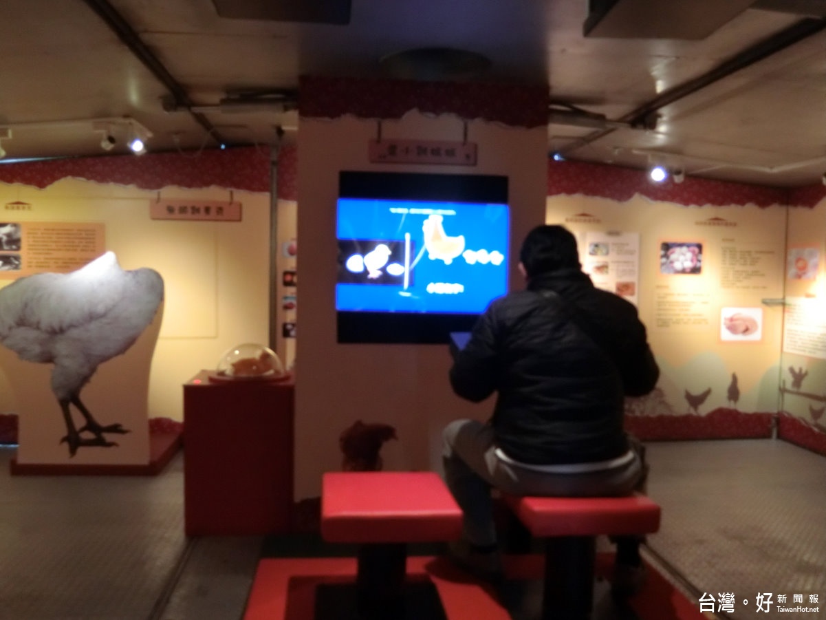 科博館《先有雞還是先有蛋-雞與蛋的故事》特展,透過互動遊戲讓民眾體驗與「雞」相關的事。(記者賴淑禎攝)