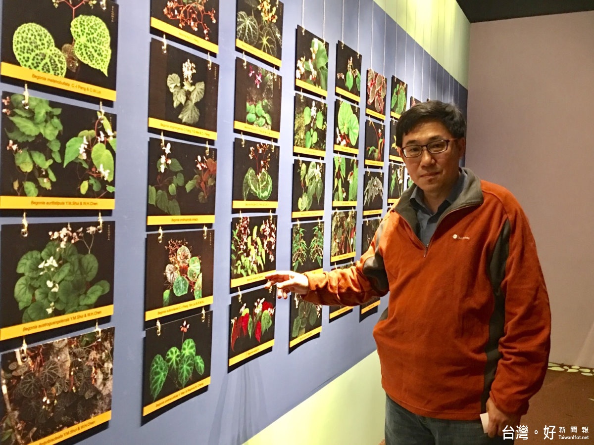 策展人胡維新博士說明秋海棠的展出內容。(記者賴淑禎攝)