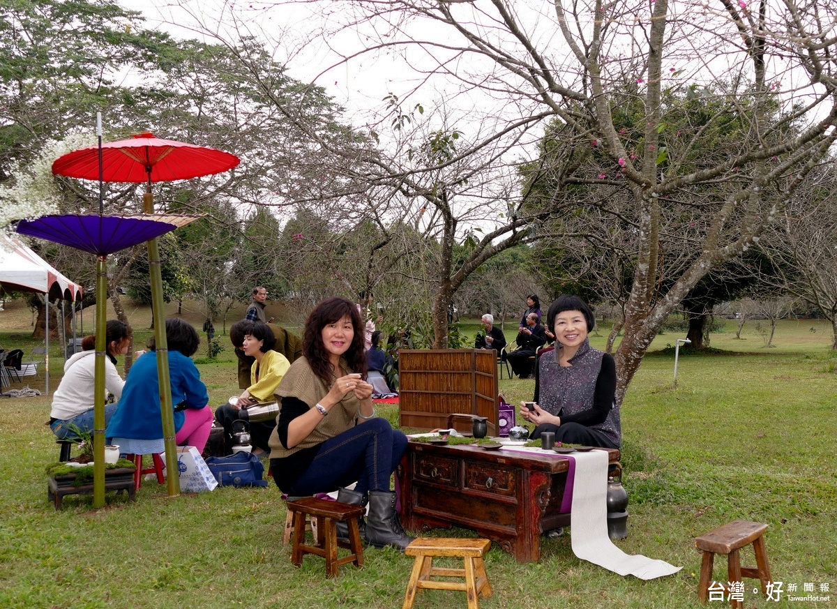 遊客悠閒的享受「櫻花」與「中國茶道」的賞櫻活動。