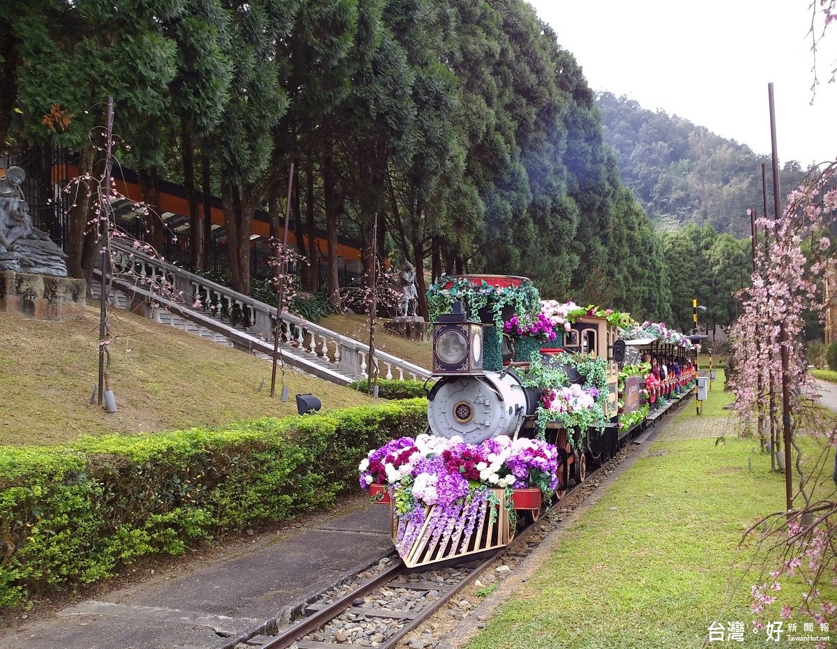 搭乘裝飾燦爛花兒的小火車欣賞滿園盛開的枝垂櫻，美不勝收！〈記者吳素珍攝〉