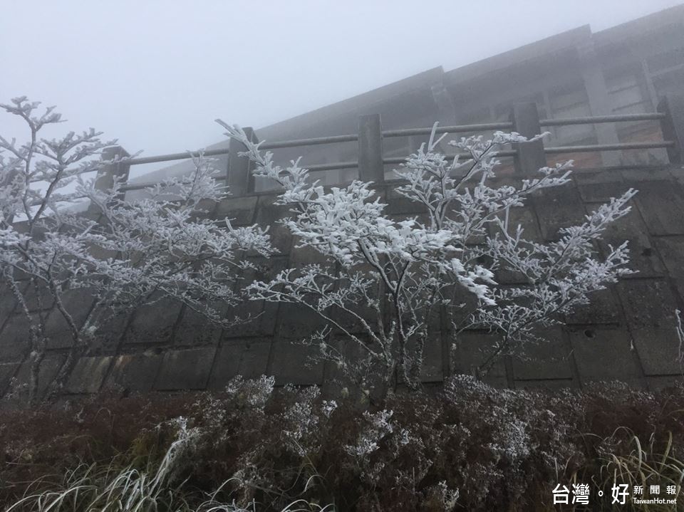 寒流來襲，太平山現雪景（圖／太平山國家森林遊樂區臉書專頁）