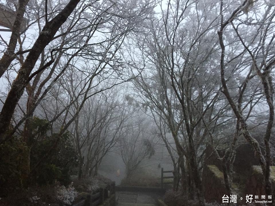 寒流來襲，太平山現雪景（圖／太平山國家森林遊樂區臉書專頁）